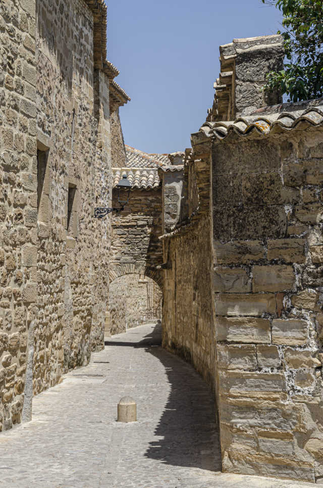 Jaén - Baeza 30 - catedral de La Natividad de Nuestra Señora de Baeza.jpg